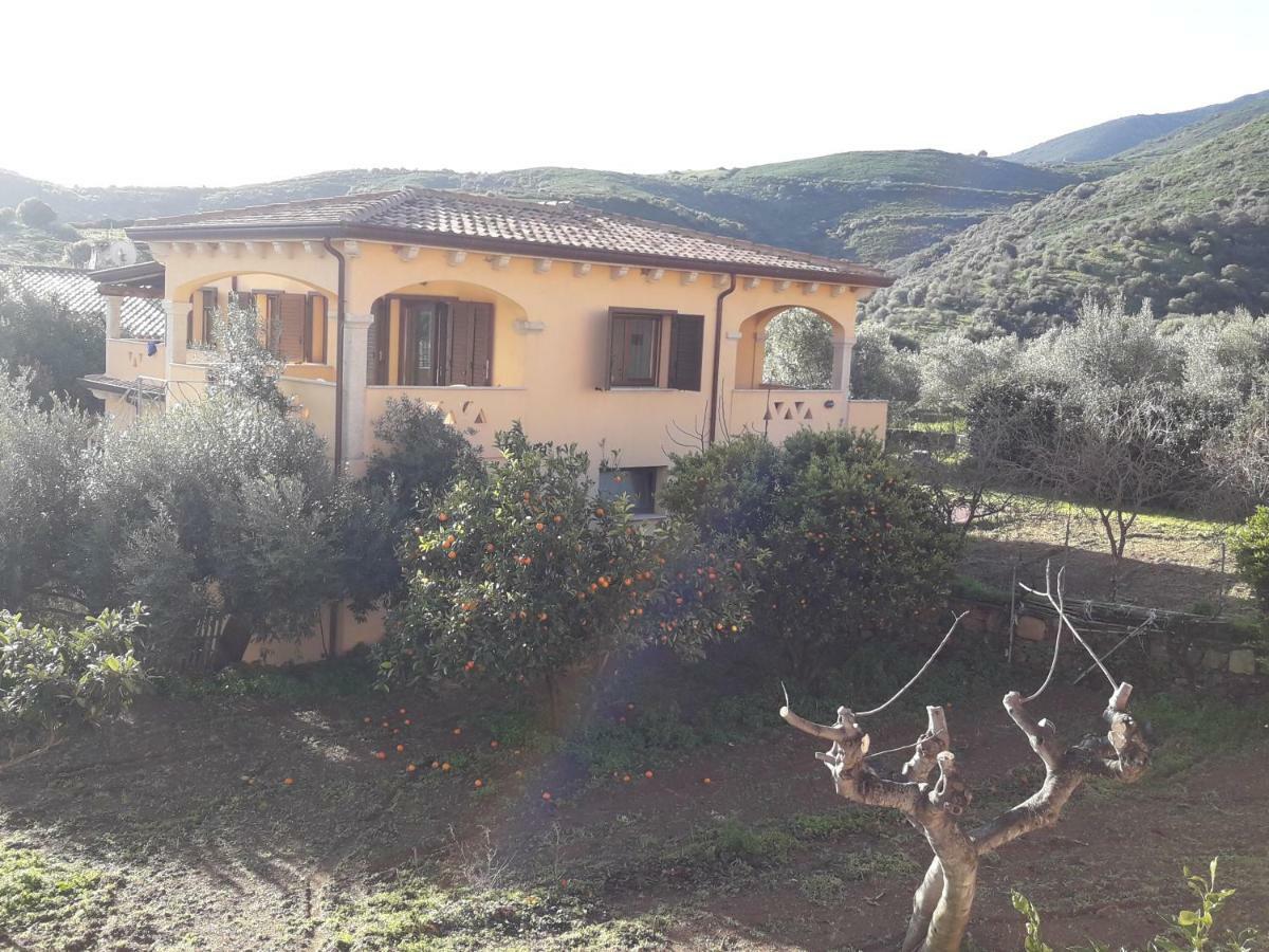 Casa Lucia Apartment Schifoni